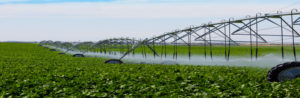 traitement des eaux usées alimentaires