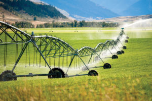 Agriculture Processing Water Treatment