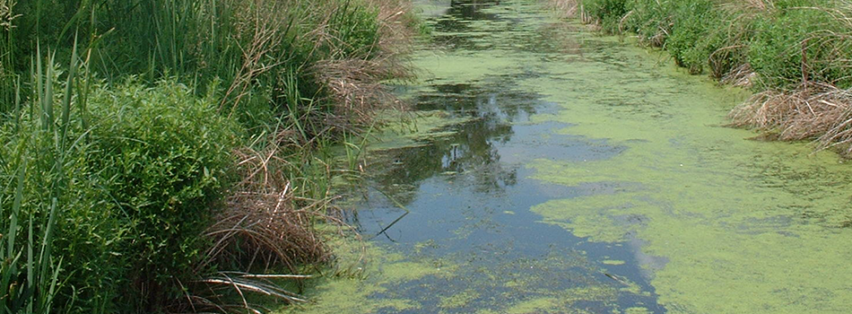 Phosphorentfernung im Abwasser