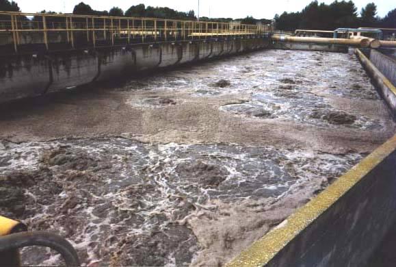 biological wastewater treatment