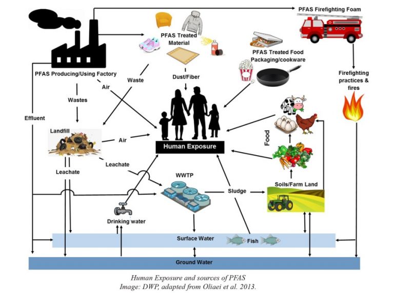 How Can You Reuse Your Gray Water? - Genesis Water Tech